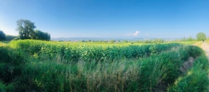 Saint-Alban vue panoramique Le Loup